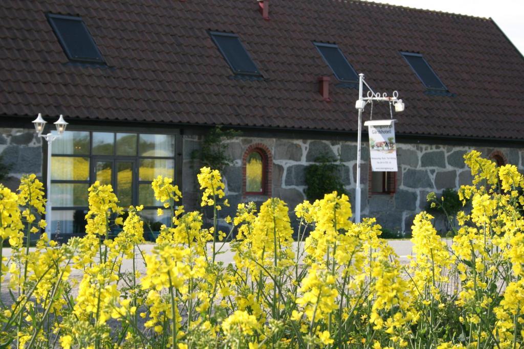 Blasingsborgs Gardshotell Pa Oesterlen 키빅 외부 사진
